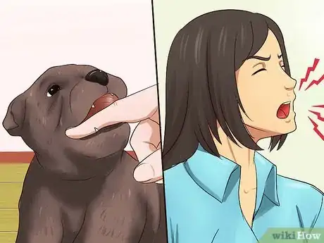 Image titled Get Your Puppy to Stop Biting Step 4