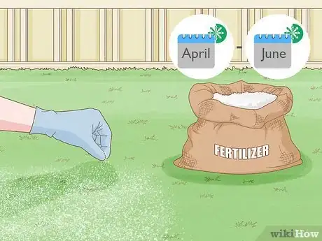 Image titled Maintain Bermuda Grass Step 12