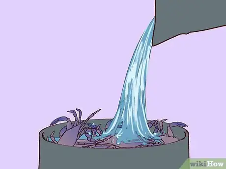 Image titled Eat a Maryland Blue Crab Step 6