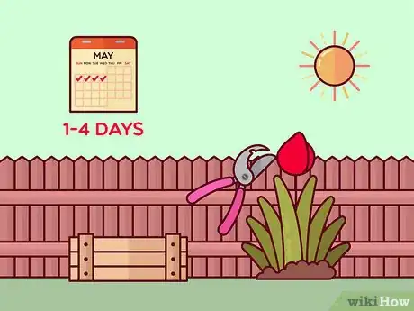 Image titled Prune Tulips Step 5