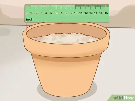 Image titled Grow Long Stem Roses at Home Step 8