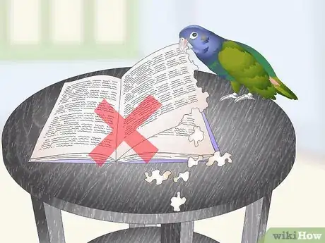 Image titled Set Up a Pionus Parrot Habitat Step 20