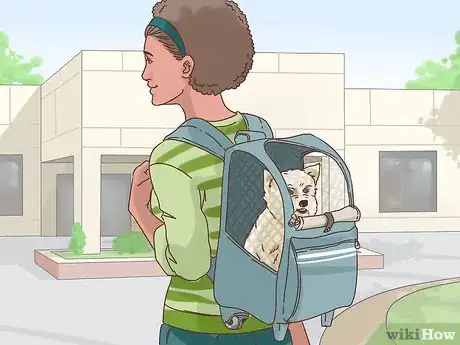 Image titled Survive the Holidays with Your Dog Step 13