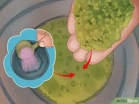 Image titled Give Your Horse the Right Supplements Step 21