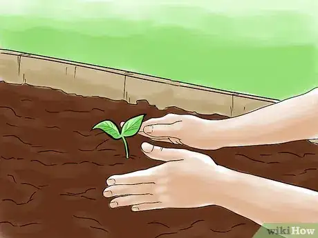 Image titled Grow Vegetables With Grow Lights Step 10