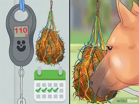 Image titled Feed a Starving Horse Step 9