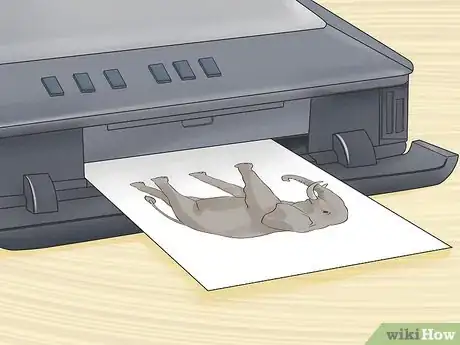 Image titled Make an Animal Fact Book Step 4