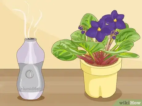 Image titled Get African Violets to Bloom Step 4
