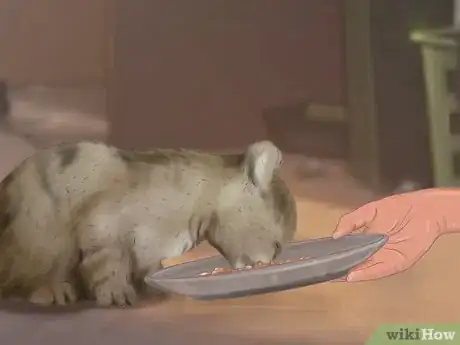 Image titled Socialize Your Kitten Step 2