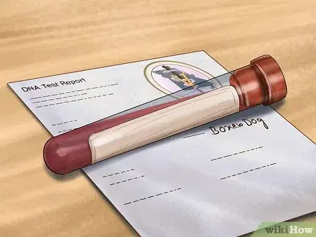 Image titled Diagnose Heart Conditions in Boxers Step 5