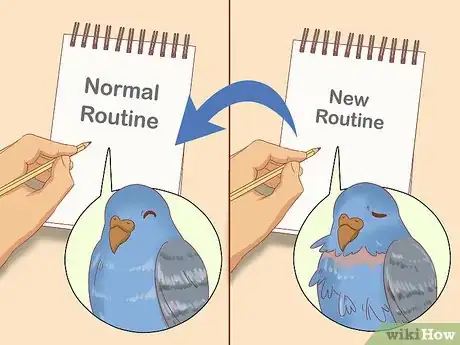 Image titled Stop Feather Plucking in Parakeets Step 10