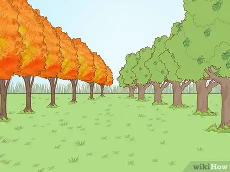 Image titled Build a Living Fence Step 11