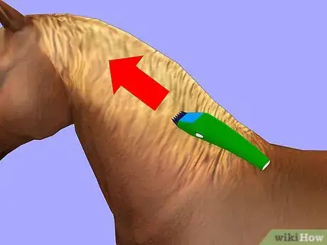 Image titled Show a Miniature Horse Step 6