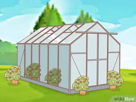 Image titled Grow Etlingera Elatior Step 1