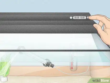 Image titled Prevent Algae Growth in a Freshwater Aquarium Step 1