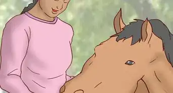 Teach a Horse to Come when Called