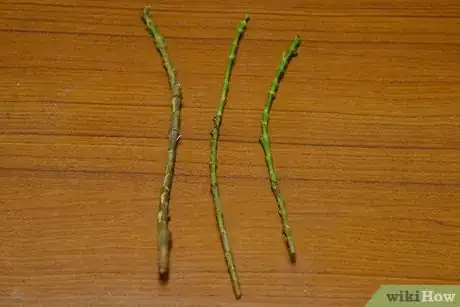 Image titled Grow Flowering Plants Through Stems Step 5
