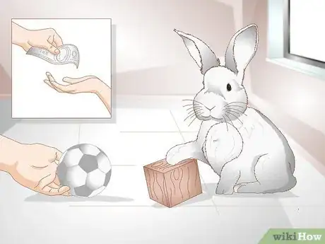 Image titled Spoil Your Pet Rabbit Step 10