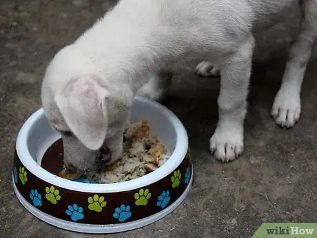 Image titled Make a Puppy Happy Step 5