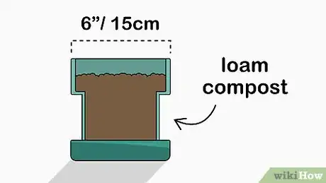 Image titled Plant Bush Lily Step 11