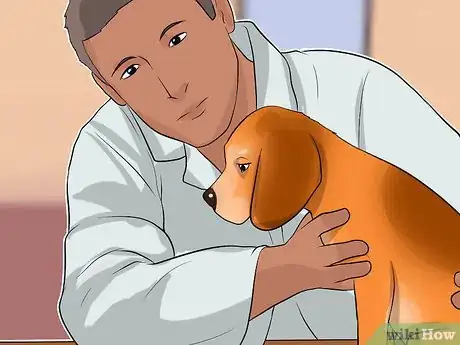 Image titled Diagnose Canine Coronavirus Step 3