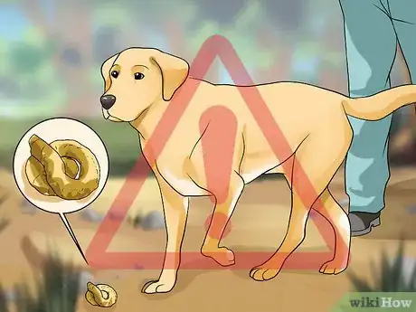 Image titled Prevent Whipworms in Dogs Step 2
