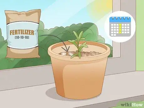 Image titled Grow Sweet Alyssum Step 10