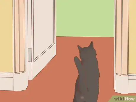 Image titled Introduce a Cat That Used to Belong to Someone Else to Your Home Step 11