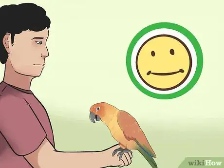 Image titled Teach a Conure to Talk Step 12