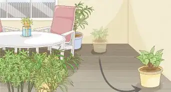 Control Scale Insects on Indoor Plants