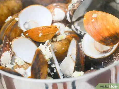 Image titled Steam Clams Step 11