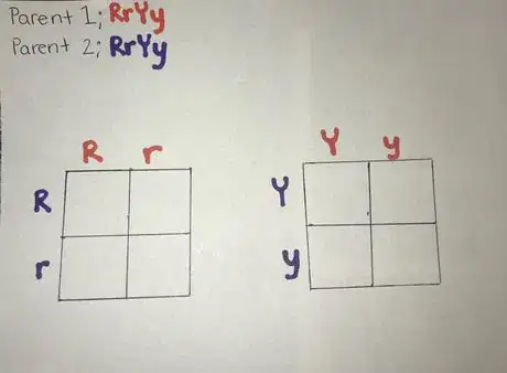 Image titled Photo 3 wiki how cropped