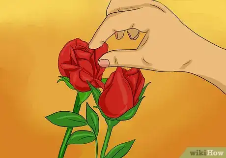 Image titled Keep Rose Petals Fresh Step 5