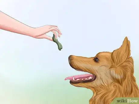 Image titled Teach Your Dog to Sit Step 7