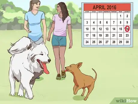 Image titled Have Fun with Your Dog Indoors Step 12