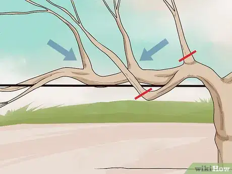 Image titled Prune Vines Step 10