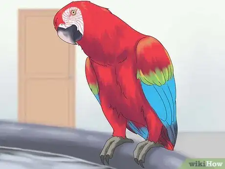 Image titled Care for a Bird Step 25