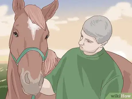 Image titled Walk a Colicking Horse Step 2