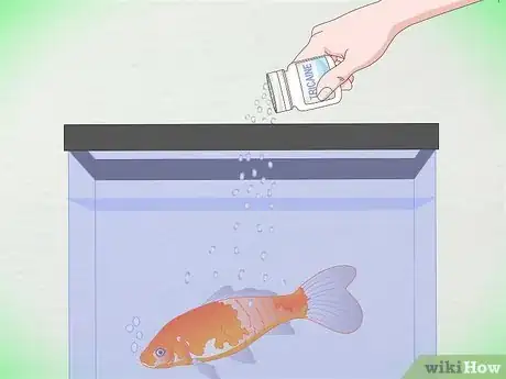 Image titled Draw Blood from an Adult Fish Step 2