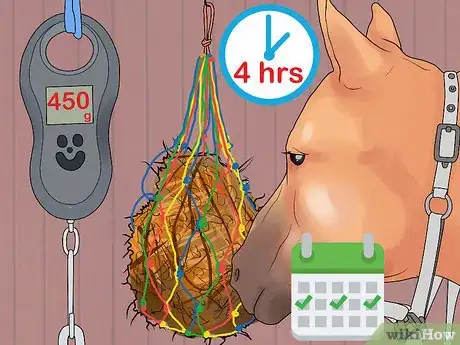 Image titled Feed a Starving Horse Step 8