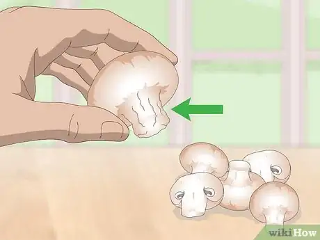 Image titled Tell if Mushrooms Are Bad Step 1
