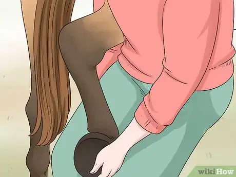 Image titled Train Your Horse for the Farrier Step 10