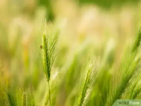 Image titled Transfer Your Problems to God Through Prayer Step 7