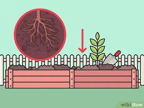 Image titled Grow Weigela Step 5