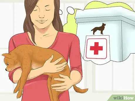 Image titled Cope With a Bad Dog Step 3