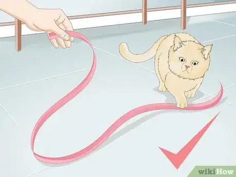 Image titled Keep an Indoor Cat Active Step 5