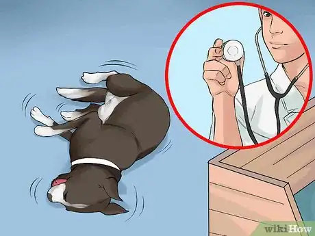 Image titled Handle a Mother Dog Refusing to Stay with Her Puppies Step 7