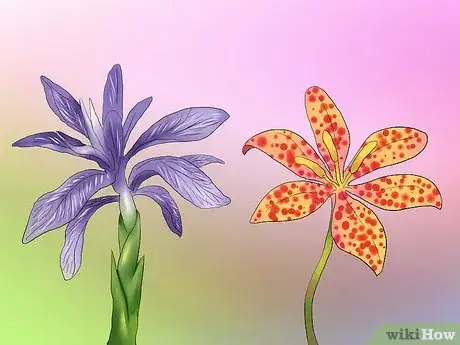 Image titled Deadhead an Iris Step 8