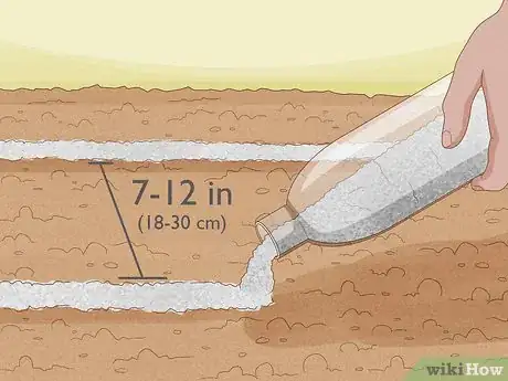 Image titled Grow Stock Flowers Step 6