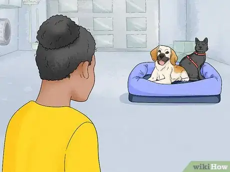 Image titled Help Homeless Animals Step 17